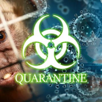 Quarantine - Houston - 01