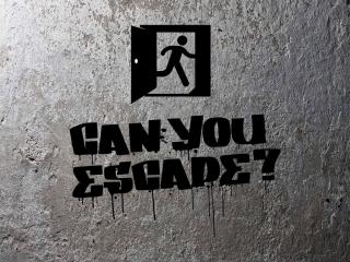Can You Escape - Tampa