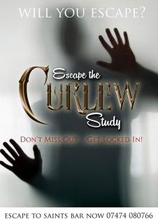 Escape The Curlew Study - Nuneaton