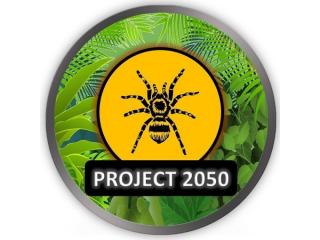 Project 2050 - Hamburg