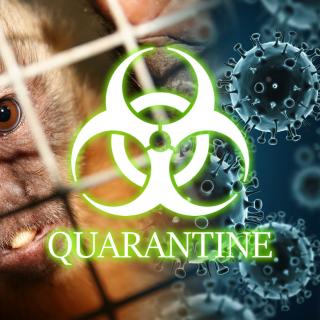 Quarantine - Houston