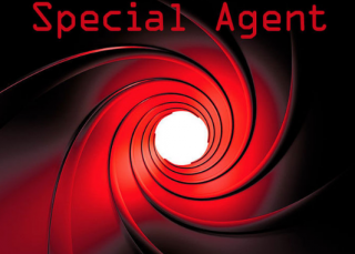 Special Agent - Austin